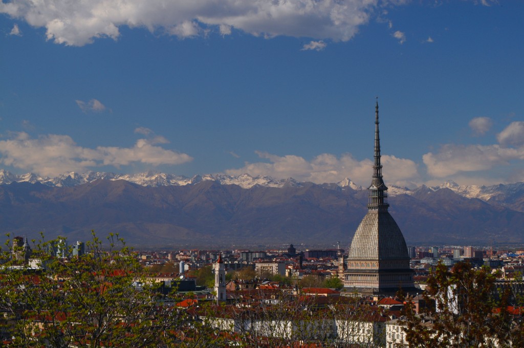 Turin City Panorama 