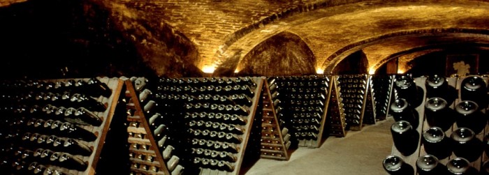 wine cellar with rows of wine bottles being stored on wooden racks