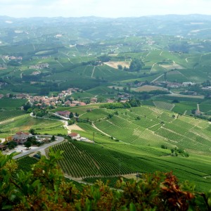 La Morra Piedmont, Italy