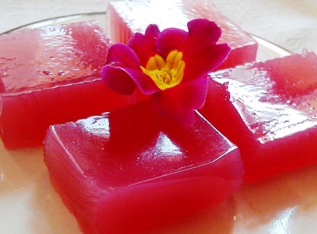 Pomegranate jelly squares