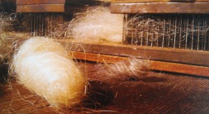 Elva hair collecting tradition for wigs. Photo of spools of hair 