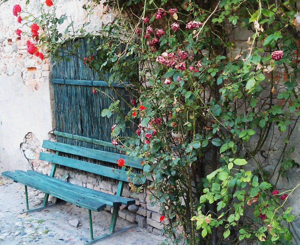 empty bench with roses on stone building in back of bench.