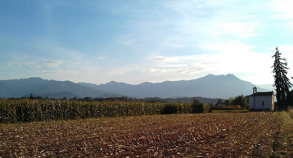 Cornfields with small chapel in the Cuneo valley