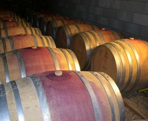 Barolo wine barrels in cellar