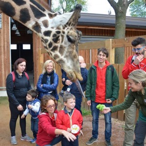 Turin for kids - Zoom Torino zoo kids with giraffe