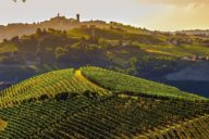 Piedmont rolling hills with vineyards and sunset