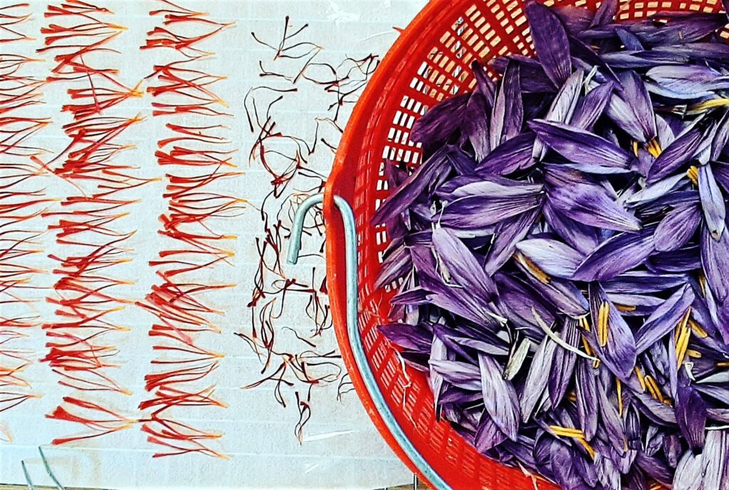 Top 15 Best Pizza in Turin Popular Pizza Places in Turin