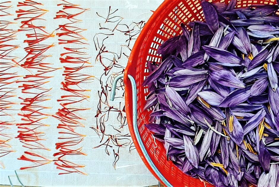 Piedmont White Wines Piedmont Wine Guide Sparklers and Crisp White